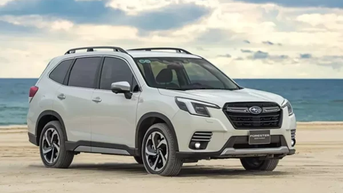 Subaru Forester "đại hạ giá" bán ra chỉ còn 799 triệu đồng