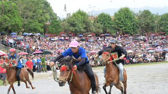 Khai mạc Festival Cao nguyên trắng Bắc Hà 2025 và chung kết Giải đua ngựa truyền thống huyện Bắc Hà lần thứ 18