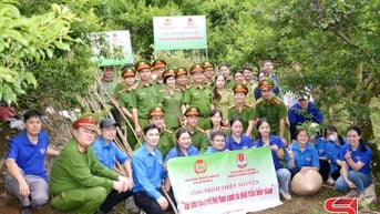 Chương trình thiện nguyện “Tái sinh rừng vì một Việt Nam xanh và phát triển bền vững”