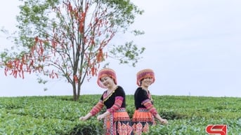 Mộc Châu - điểm đến lý tưởng dịp hè
