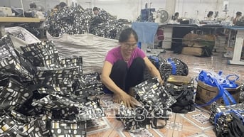 Hiệu quả hoạt động của hợp tác xã công nghiệp, tiểu thủ công nghiệp