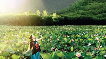 Đi đâu giữa mùa hoa xứ Quảng?