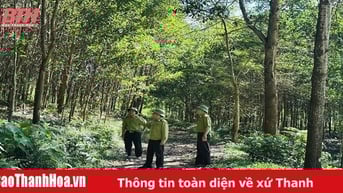 Như Thanh chủ động giữ rừng mùa nắng nóng