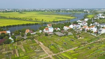 Làng rau Trà Quế ra mắt bộ nhận diện thương hiệu mới