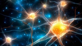 Phát hiện mới về tế bào lưu giữ trí nhớ