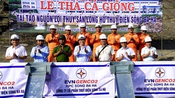 Thả cá giống tái tạo nguồn lợi thủy sản lòng hồ Thủy điện Sông Ba Hạ