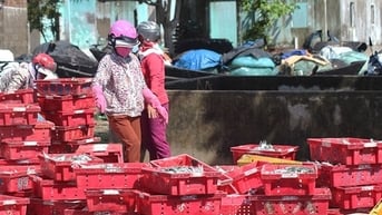 Những người gìn giữ vị mặn của biển