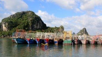 Đảm bảo hạ tầng tránh trú bão