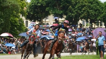 Gần 100 nài ngựa tranh tài Giải đua Vó ngựa Cao nguyên trắng lần thứ 18