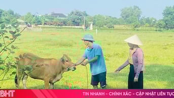 Mô hình sinh kế - động lực vươn lên thoát nghèo ở Thạch Hà