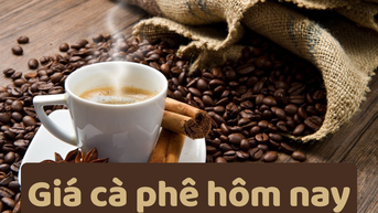 Giá cà phê hôm nay 8/6/2025: Giảm mạnh cuối tuần