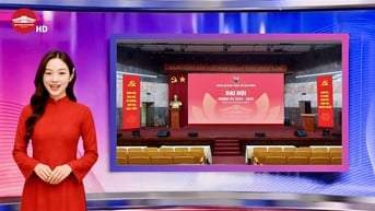 Đại hội Đảng bộ Bảo tàng Hồ Chí Minh nhiệm kỳ 2025-2030: Tổng kết thành tựu, định hướng tương lai gắn với kỷ nguyên vươn mình của dân tộc