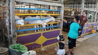 Tiền Giang: 'Hút khách' từ quy hoạch 3 vùng du lịch sinh thái
