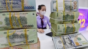 VND lấy lại đà hồi phục từ quý IV/2025