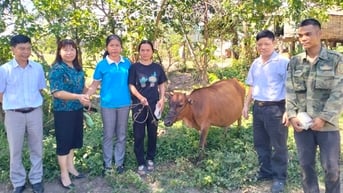 Quỹ Hỗ trợ phụ nữ phát triển tỉnh Gia Lai đồng hành cùng phụ nữ nghèo