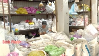 “Ngập” túi ni-lông tại chợ dân sinh
