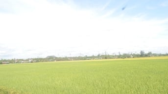 Đắk Nông điều chỉnh quy hoạch sử dụng đất theo đơn vị hành chính Krông Nô mới