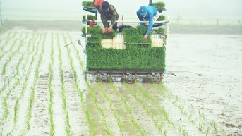 Tin vui cho nông dân, HTX từ hôm nay (1/7): Vay vốn đến 5 tỷ đồng không cần tài sản thế chấp