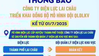 Công ty Điện lực Lai Châu thành lập các đội quản lý khu vực