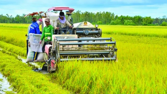 នាំ​កសិផល​វៀតណាម​ឆ្លង​កាត់​ព្យុះ​ពន្ធ​ដែល​មាន​បំណង​រក​ចំណូល​បាន​៦៥​ពាន់​លាន​ដុល្លារ