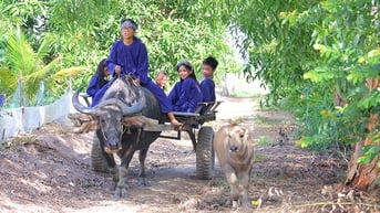 Kỳ nghỉ hè không thiết bị công nghệ