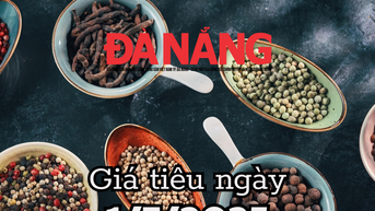 Giá tiêu hôm nay 1/7/2025