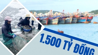 1,500 ពាន់លានដុង - ជាទុនវិនិយោគសរុបប៉ាន់ស្មានសម្រាប់ហេដ្ឋារចនាសម្ព័ន្ធជលផលក្នុងខេត្តទាំងមូលរហូតដល់ចុងត្រីមាសទីពីរនៃឆ្នាំ 2025