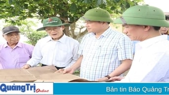 Người của hai quê