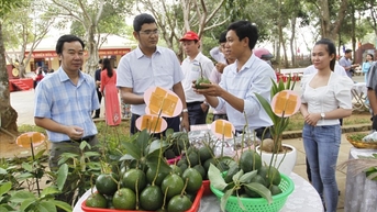 Gần 1,3 tỉ đồng hỗ trợ phát triển sản phẩm OCOP