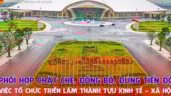 Phối hợp chặt chẽ, đồng bộ, đảm bảo đúng tiến độ việc tổ chức triển lãm thành tựu kinh tế - xã hội