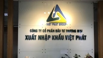 Che giấu giao dịch hàng trăm tỷ đồng với bên liên quan, VPG bị phạt