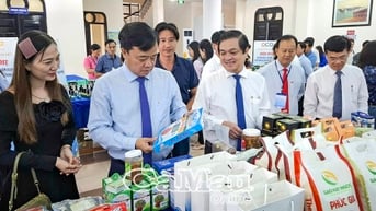Gắn 5 sao OCOP cho con tôm, cua Cà Mau