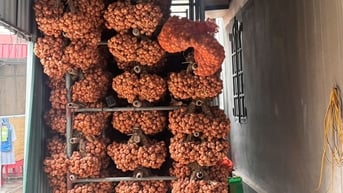 Giá hành khô giảm mạnh