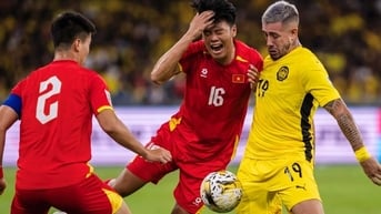 Đội tuyển Việt Nam đón tin buồn từ FIFA, rơi vào tình cảnh đáng lo