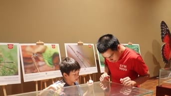 Sôi nổi hoạt động hè cho thiếu nhi