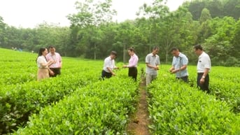 Thái Nguyên: Tổng dư nợ tín dụng chính sách qua ủy thác đạt hơn 8,8 nghìn tỷ đồng