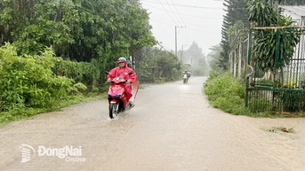 Thời tiết Đồng Nai từ 12 đến 17-7: Ngày nắng gián đoạn, chiều tối và đêm có mưa