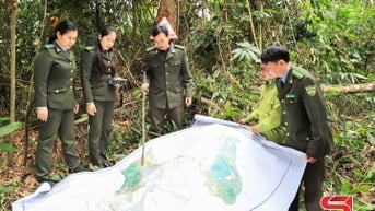 Giữ rừng vì cuộc sống cộng đồng