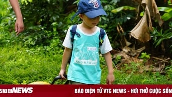Sau vụ trại hè Làng Háo Hức, nhiều phụ huynh giật mình từng 'giao trứng cho ác'