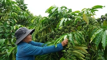 Khơi thông ý thức giảm nghèo trong đồng bào DTTS