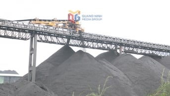 TKV: Giữ vững nhịp độ sản xuất, đảm bảo mục tiêu tăng trưởng