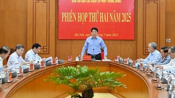 Phiên họp thứ hai năm 2025 Ban Chỉ đạo Cải cách tư pháp Trung ương
