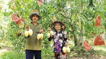 Mỹ Thọ mới: “Cú hích” phát triển từ tầm nhìn sáp nhập