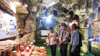 Lạc bước giữa thế giới dược liệu kỳ ảo trong lòng Pleiku