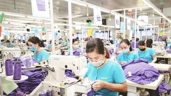 Chuyển đổi xanh: Điều kiện sống còn để doanh nghiệp tồn tại và phát triển