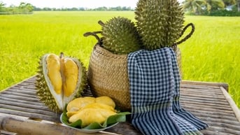 Giá sầu riêng rẻ kỷ lục, người dân Hà Nội thoải mái thưởng thức 'vua trái cây'