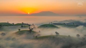 Cảnh huyền ảo trên đồi chè 'bát úp' ở Phú Thọ