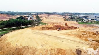 Khởi đầu không nằm ở chính sách
