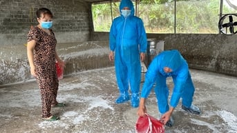 Khoanh vùng, dập dịch, bảo vệ đàn vật nuôi
