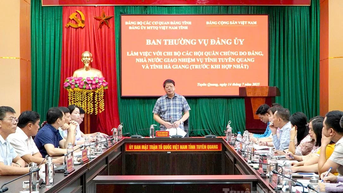 Đảng ủy MTTQ Việt Nam tỉnh làm việc với Chi bộ các hội quần chúng trước khi hợp nhất